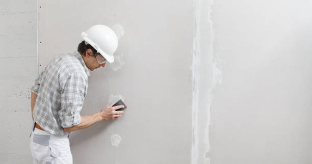 Best Residential Mold Inspection & Testing  in Lockney, TX