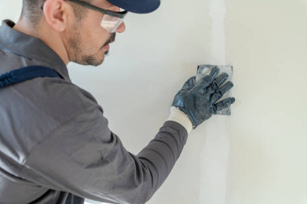 Best Comprehensive Air Testing for Mold Contaminants  in Lockney, TX