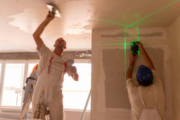 Best Basement Mold Removal  in Lockney, TX