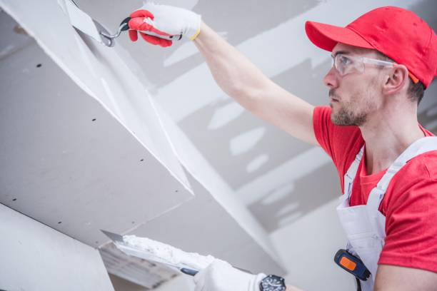 Best Forensic Mold Investigation  in Lockney, TX